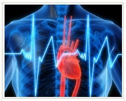 Slider image (6) American Hospital of Paris